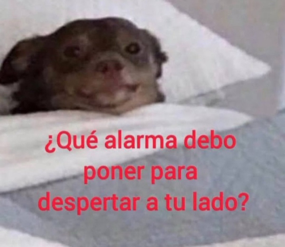 emociones amarillas (@conoloracigarro) on Twitter photo 