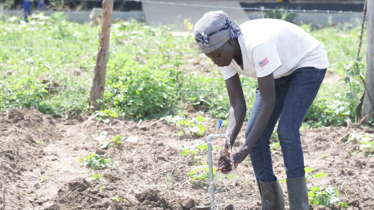 actionaiduganda's tweet image. Today, we reflect on a significant milestone. We recently launched a Women and Girls' Safe Space in Imvepi Refugee Settlement, reconstructed with generous support from @ActionAidDK. The center now features a newly established Agroecology Hub, with a micro irrigation scheme, made…