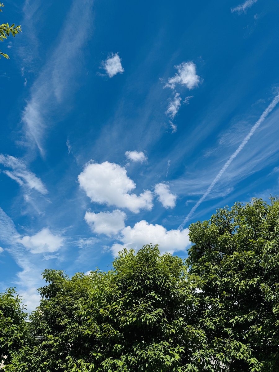 夏の雲 夏の雲っていいですよね - Search / X