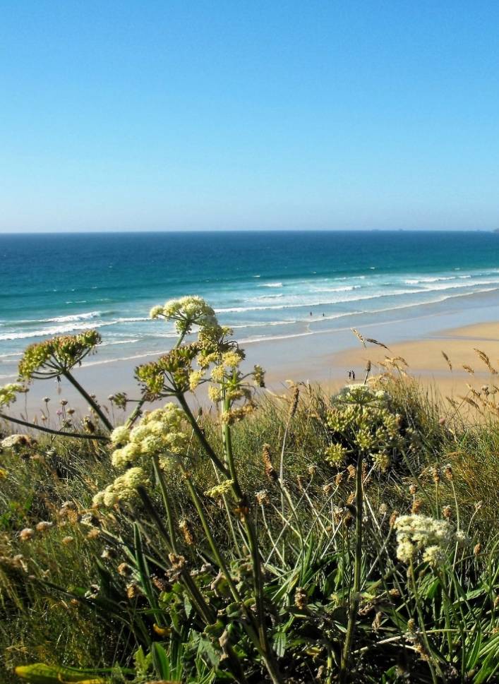 CornwallK8's tweet image. Out of office activated, the sun&apos;s shining, here&apos;s to a week off work! Happy Friday you beauties!💙😎☀️
#Cornwall #StormHour #ThePhotoHour #FridayVibes #FridayFeeling