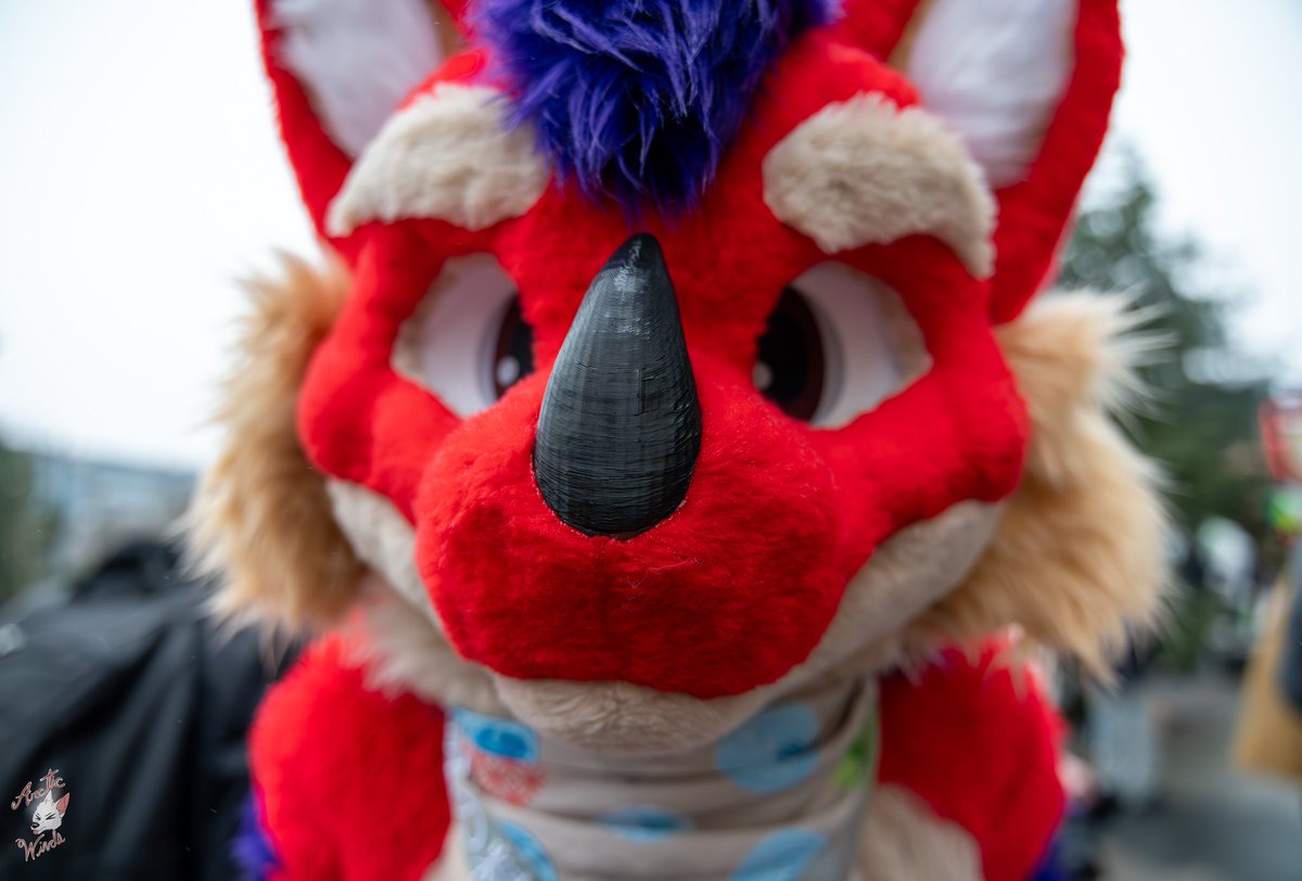 RiguToby's tweet image. Do u have games on ur phone? 🤓

[ 📸 ] @ArcticWindPhoto 
#FursuitFriday