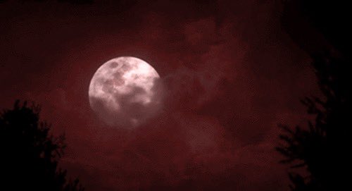 kn1ves_out's tweet image. goodnight allβ°οΈβ₯οΈπ¦
be nice to yourselves &amp; each other