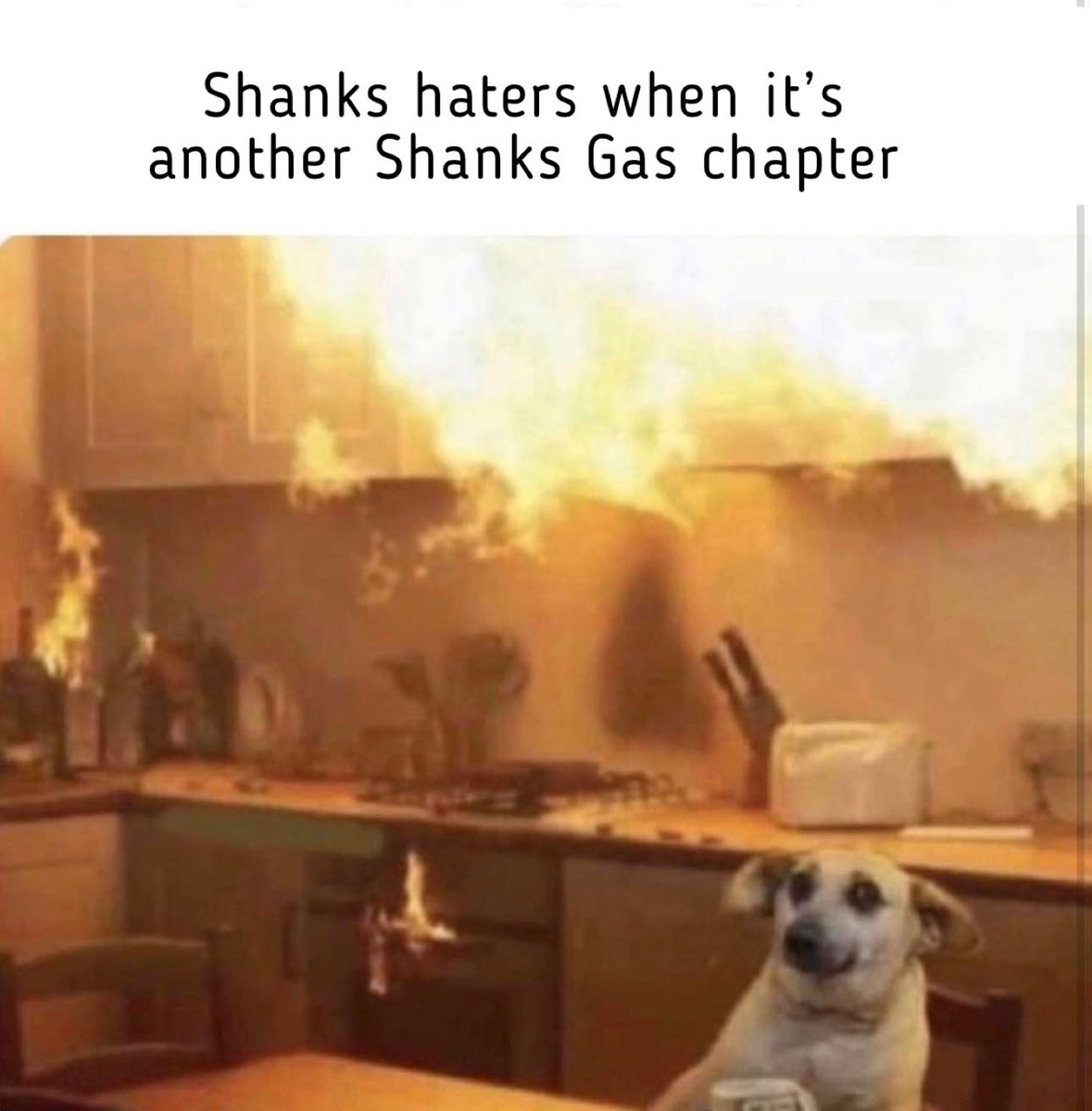 ShanksAKADavis's tweet image. Gn