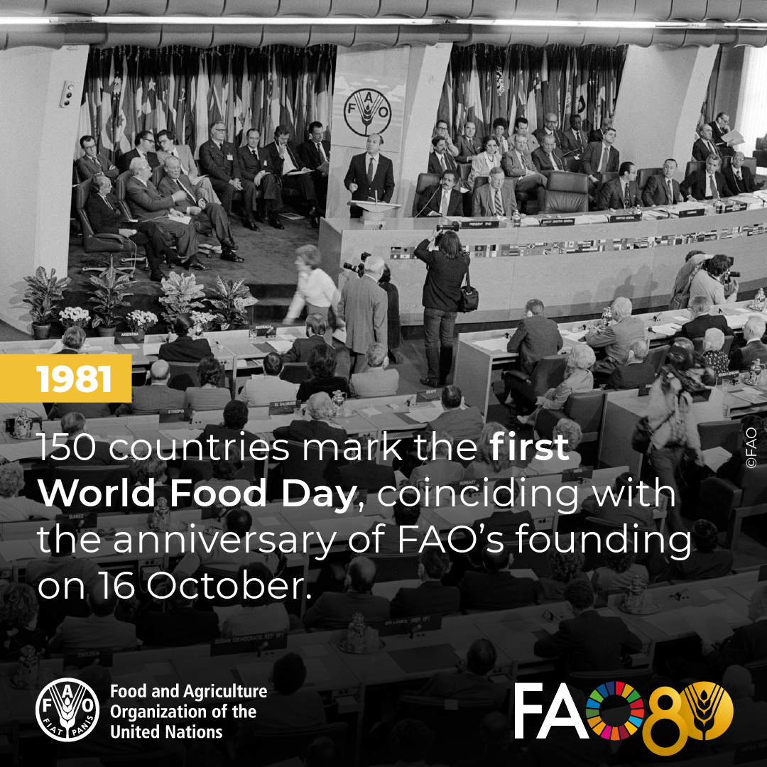 #WorldFoodDay 2025 calls for global collaboration to build a peaceful, sustainable and food-secure world.

We must act Hand in Hand — across borders, sectors, and generations — for better foods and a better future.

🔗fao.org/world-food-day…

#FAO80 #FoodHeroes #ThrowbackThursday