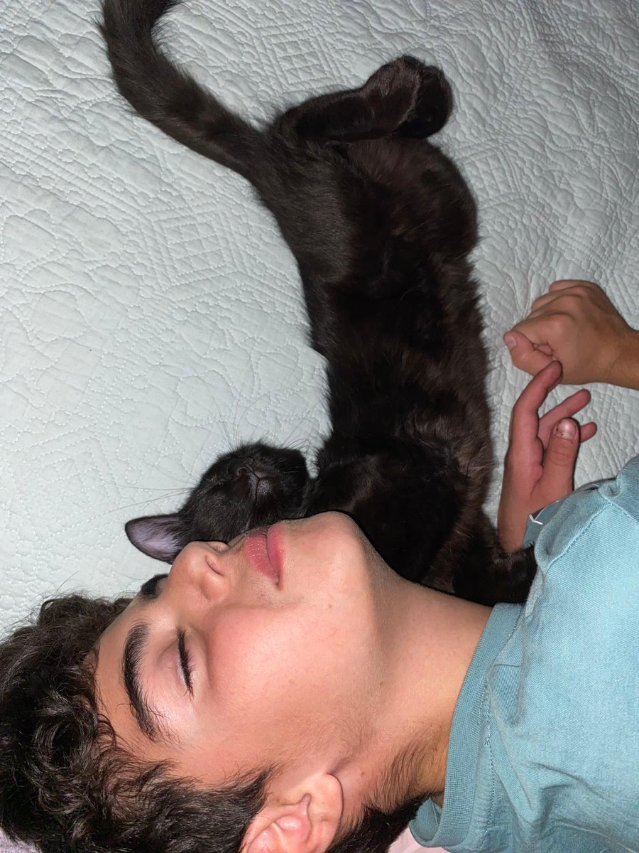 Şunlara bakın ya çok tatlı değiller mi?🥰🌼🩷