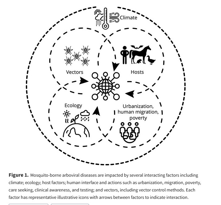 greg_folkers's tweet image. OFID: Meeting Report on an Integrated Research Agenda for Mosquito-Borne Arboviruses
Angela K Ulrich et al
bit.ly/3H1EFoq