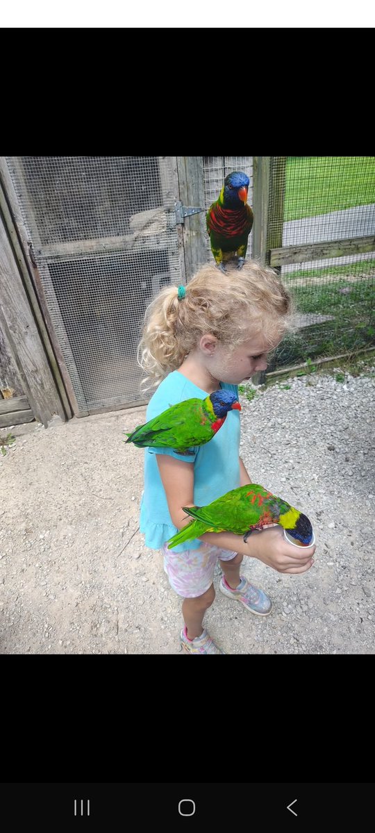 JimmyG2221's tweet image. Amoree enjoyed Kentucky Down Under with her Mom, Zack, and Aubrey!