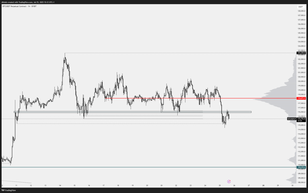 PattaTrades's tweet image. 116,500 reclaim is pretty important here otherwise I think we trade to 113k before bottoming.