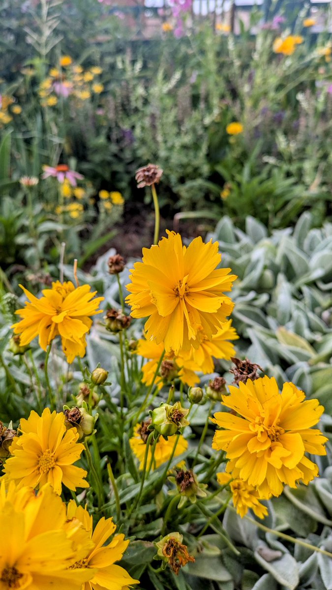 Good morning Writing Community! 🌞   
Any epic weekend plans? And writing counts as epic in my book btw! Not everyone can craft exciting tales and adventures. 😊 #HappyFriday