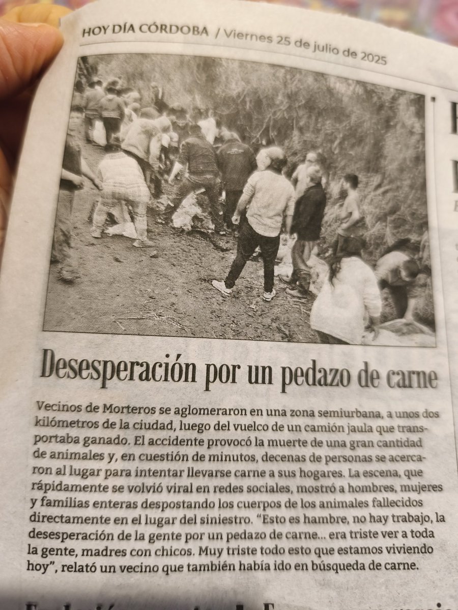 Chocó un camión con ganado en Córdoba. La gente asaltó el camión para llevarse un poco de carne. Hay hambre. Y muchos asnos siguen repitiendo que los salarios y jubilaciones le ganan a la inflación.
