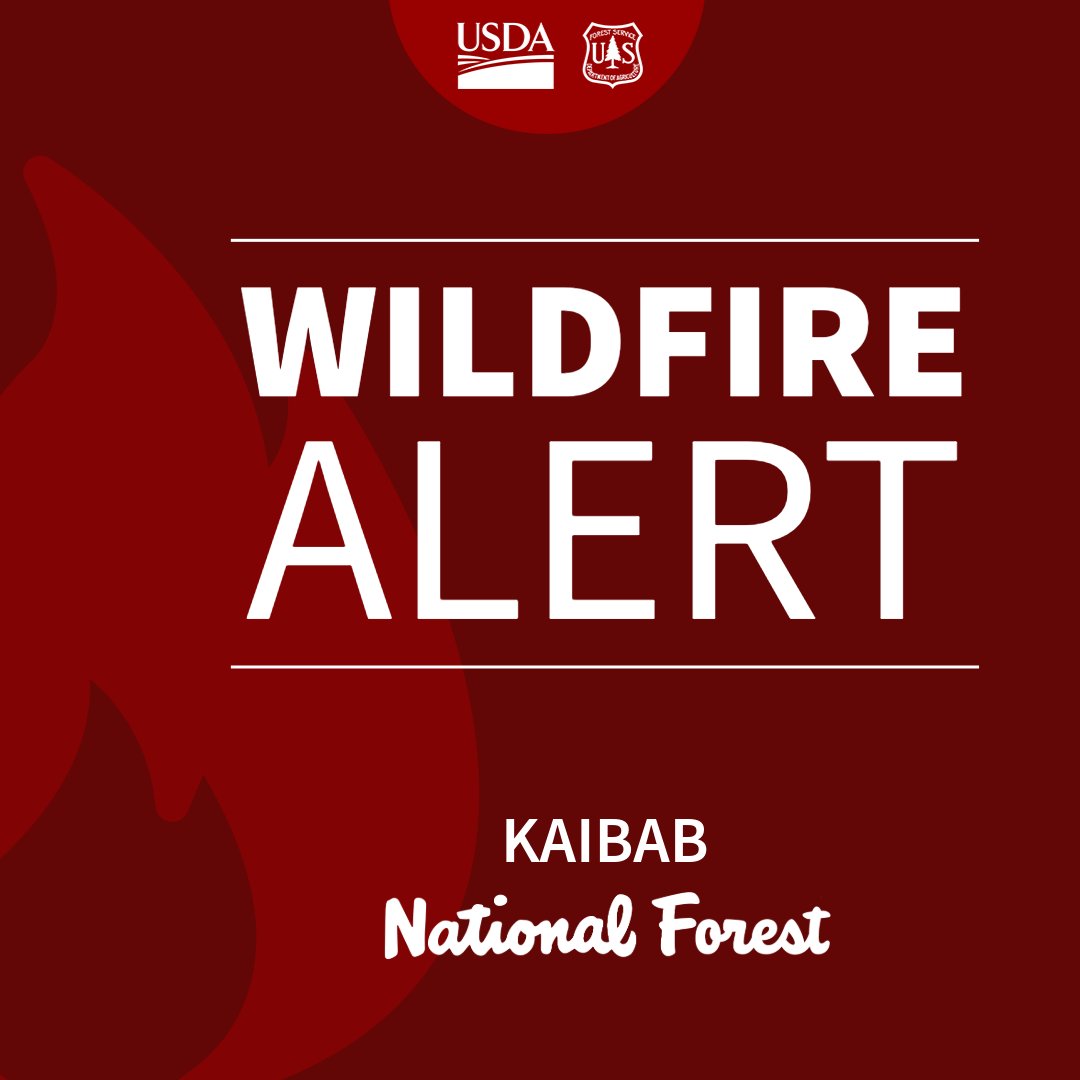 KaibabNF's tweet image. WHITE SAGE FIRE DAILY UPDATE - July 25, 2025
81% contained - 58,980 acres - 398 personnel - 0 structures lost
Fire Information: Phone: (928) 218-4240 daily from 8 a.m. - 8 p.m.
Email: 2025.whitesage@firenet.gov
InciWeb: inciweb.wildfire.gov/incide.../azas…