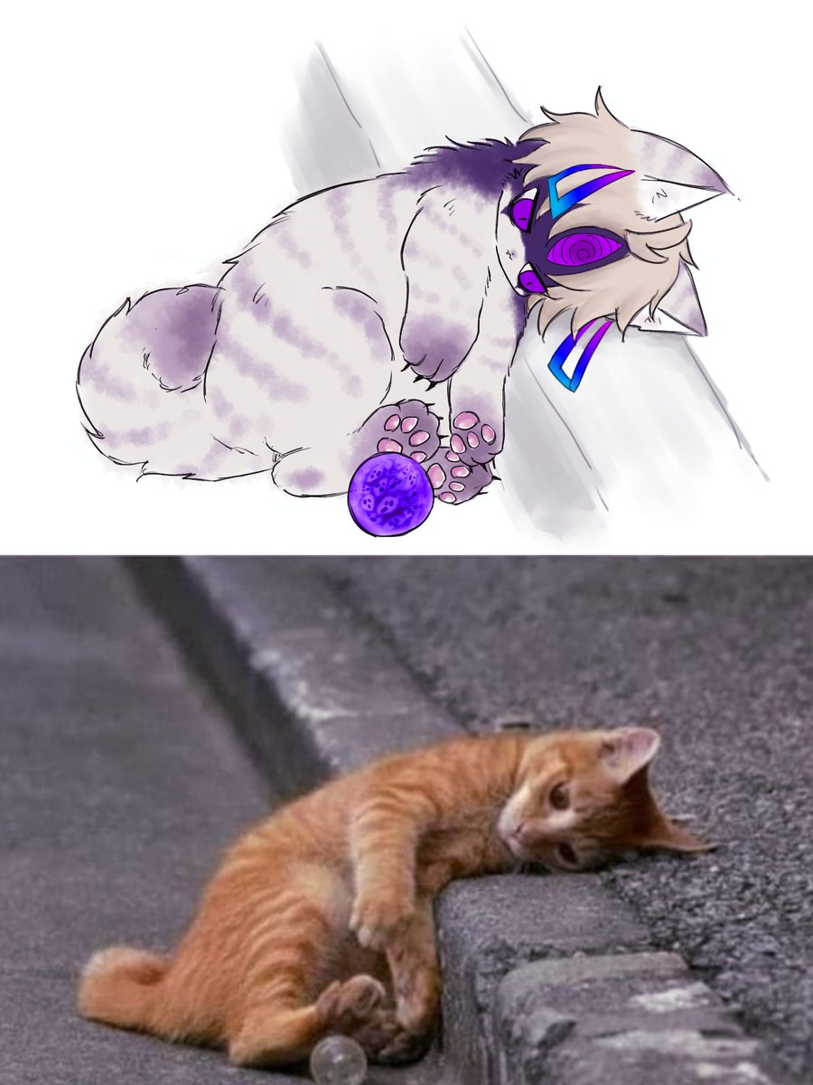 ttp_zatta's tweet image. evil eye cat  🐈‍⬛