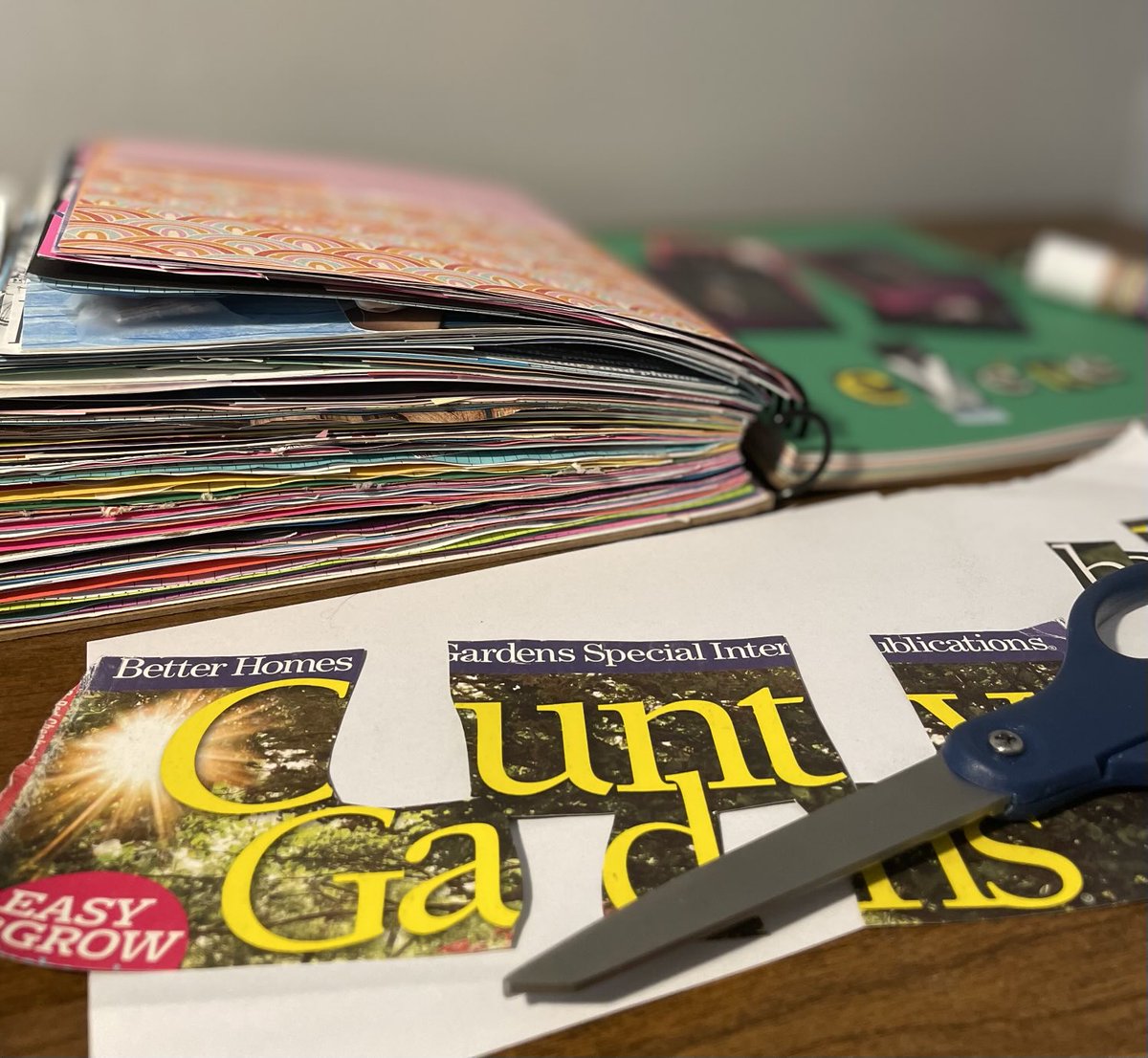 ms_lisa89's tweet photo. was in the middle of working on my junk journal &amp; was unexpectedly insulted https://t.co/Bpybs7CBhP