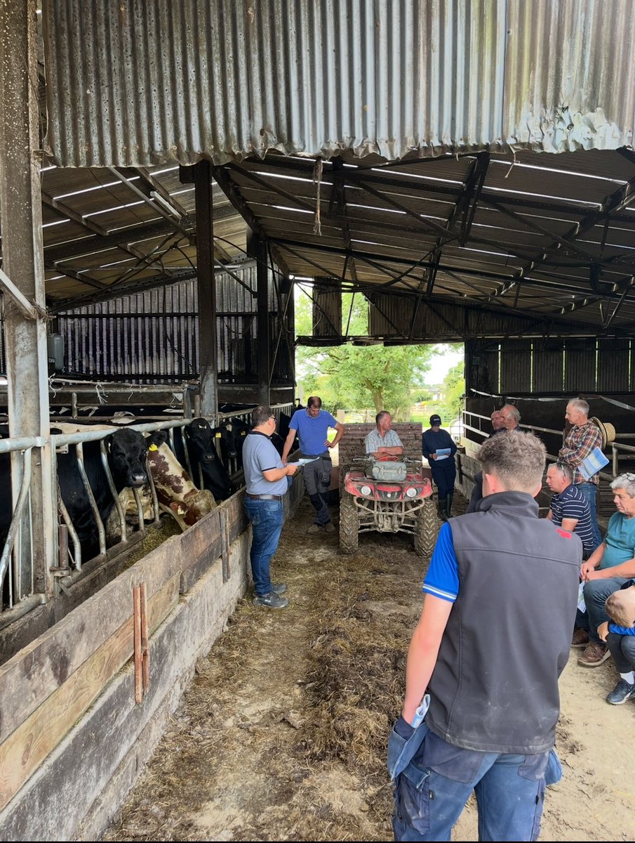 Our Wexford Calf to Beef Group met again in Ramsgrange today. Big thanks to group member Paddy O’Brien for hosting.Selecting animals for finishing &amp; calf performance at grass discussed. Group facilitated by local adviser James Doran &amp; DairyBeef500 programme adviser Gordon Peppard