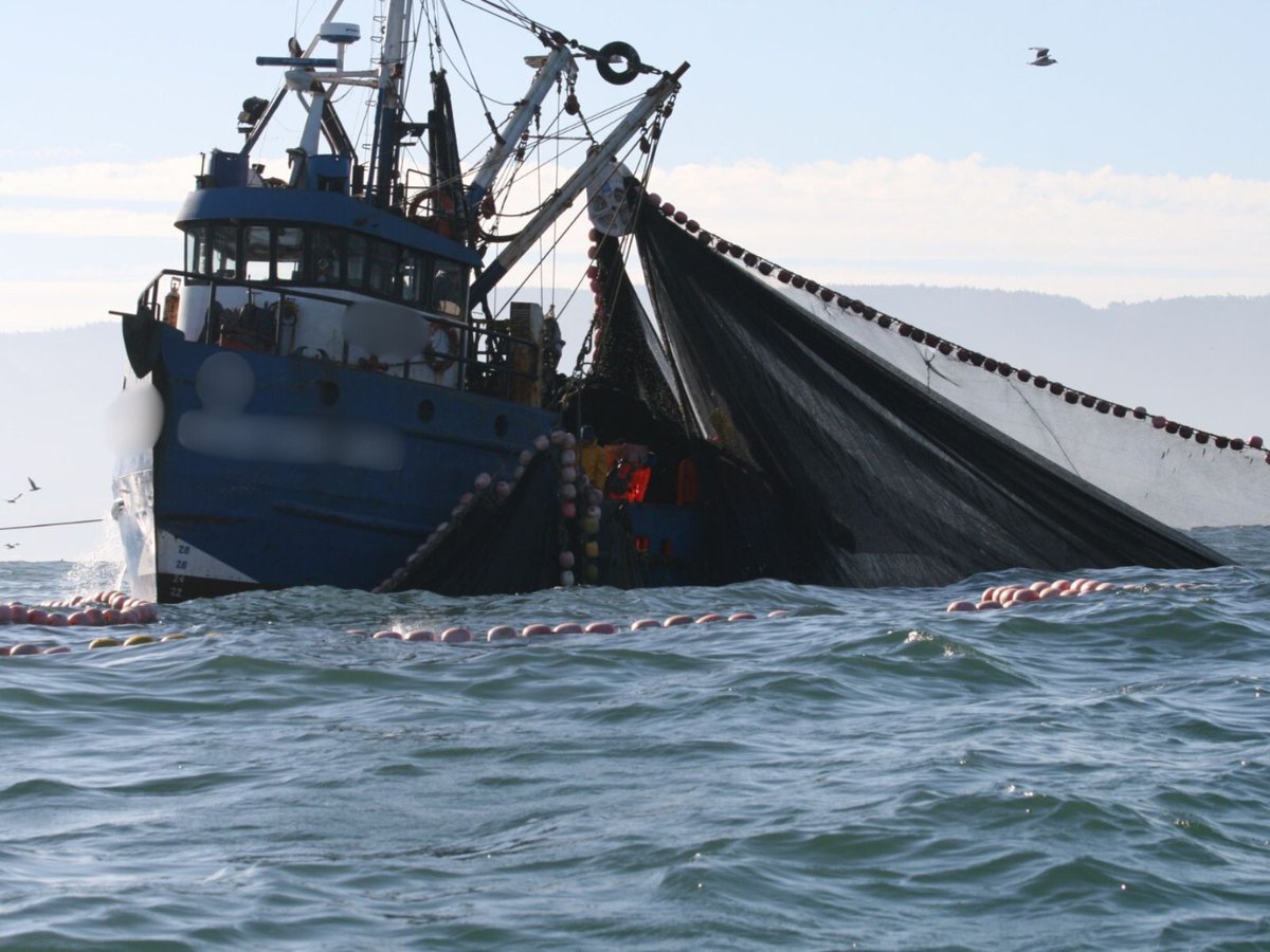 #Valparaíso: La Corte Suprema ratificó el procedimiento administrativo sancionatorio del Servicio que multó a una pesquera con 1000 UTM por el descarte de merluza común en la costa de la región.

Conoce más detalles en: sernapesca.cl/noticias/corte…