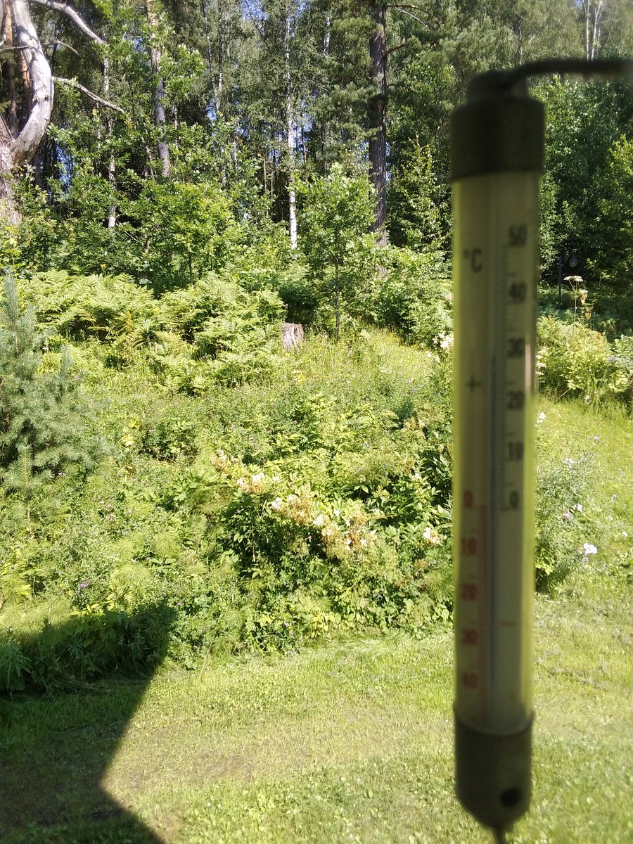 Aikamoista, klo 17 vielä 30 astetta. Maksimi tänään 32, tähän astinen kesän ennätys tässä mittarissa!