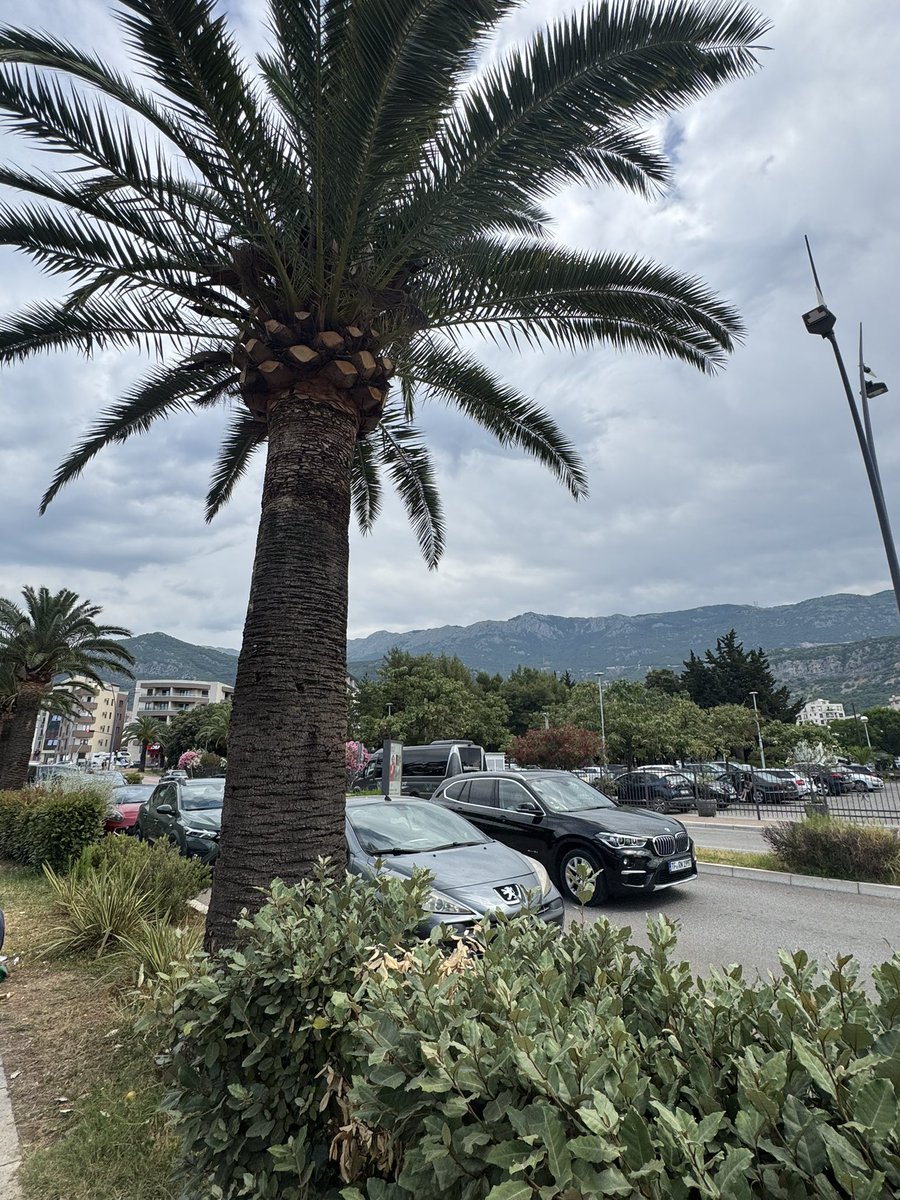 Mwasel2003's tweet photo. Albania 🇦🇱 https://t.co/L3bPv8IOFp
