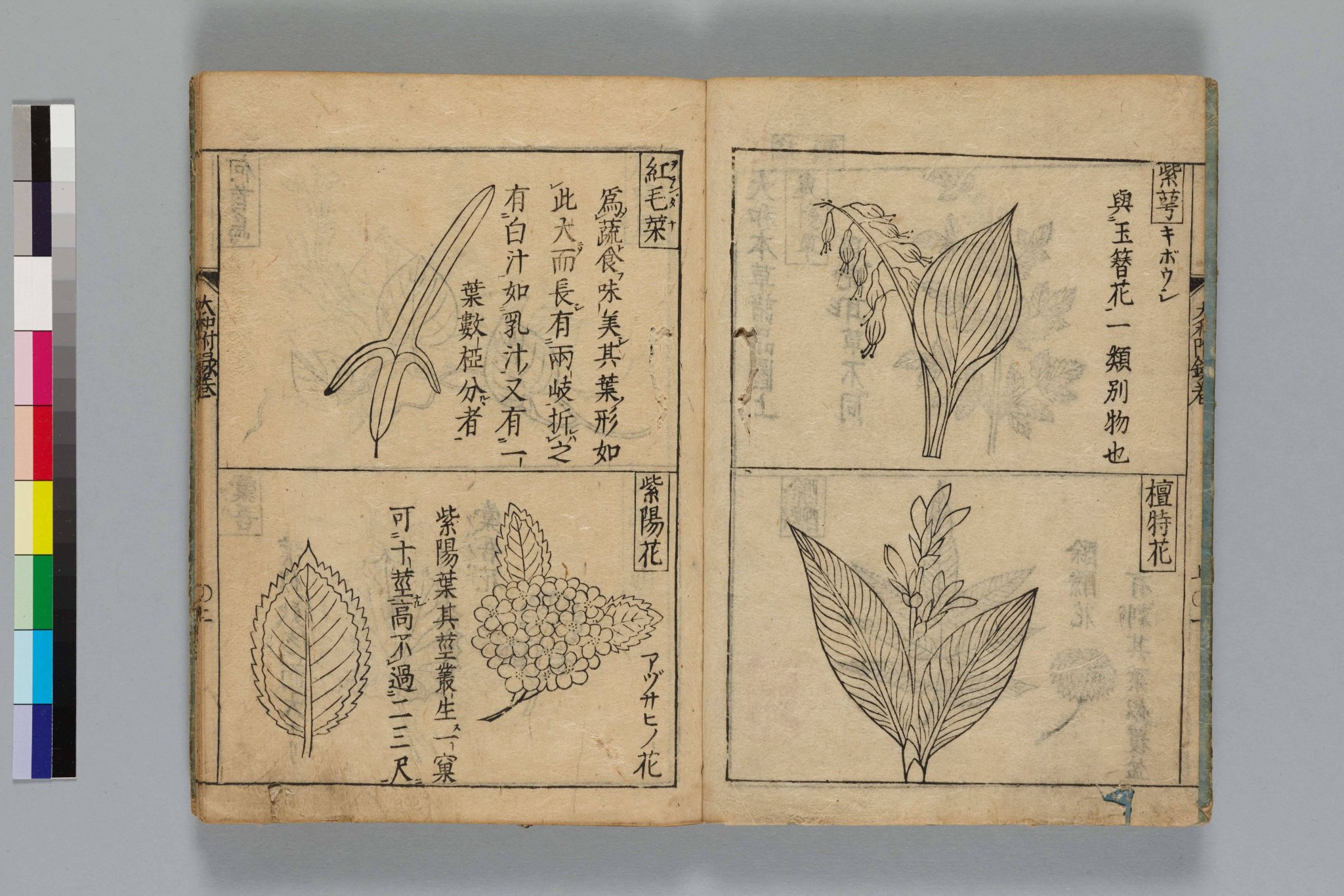 国文学年鑑 平成１４年/至文堂/国文学研究資料館（単行本） 国文学研究資料館 on X: 