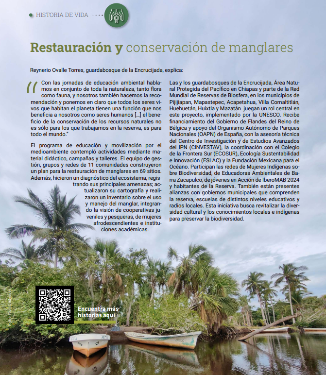 UNESCOMexico's tweet image. 🤝🏿🍃Trabajamos de forma integral hacia el desarrollo sostenible en #México, como la revaloración de los conocimientos indígenas y locales e intervenciones ambientales basadas en evidencias para la restauración de #manglares.
📚Consulta el Informe @ONUMX: f.mtr.cool/xmrredznsa