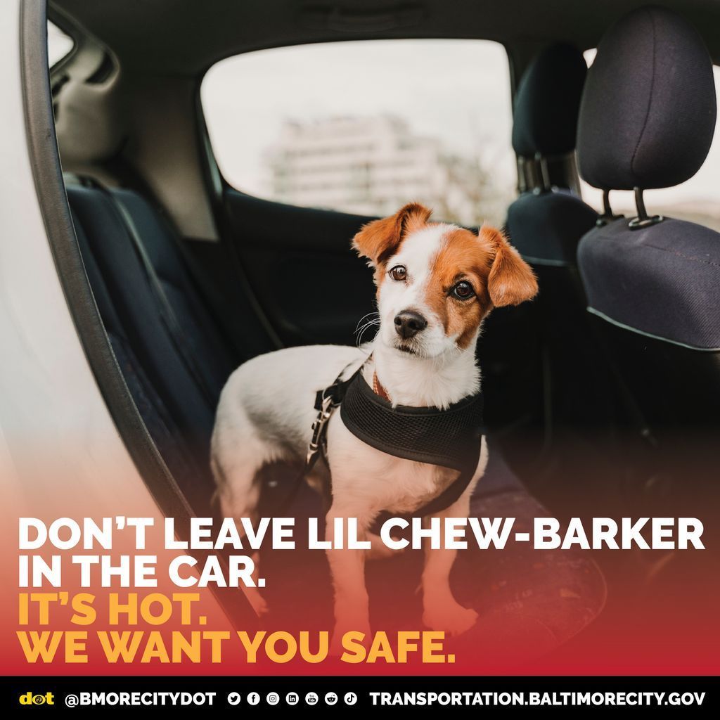 BmoreCityDOT's tweet image. ππΆ It only takes minutes for a car to become dangerously hot β even with the windows cracked.
π₯ Donβt leave pets in the car, not even for a quick errand. Keep Lil Chew-Barker safe.
β€οΈ Itβs hot. We want you safe.
