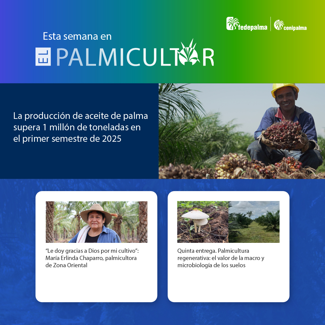 FedepalmaOrg's tweet image. ¡Es #ViernesDeElPalmicultor! 🌴📱
Disfruta de nuestras lecturas recomendadas para cerrar la semana:
✅Producción de palma supera 1 millón de toneladas en el en el primer semestre de 2025 qrcd.org/90d8
✅María Erlinda: gratitud y #OrgulloPalmero…