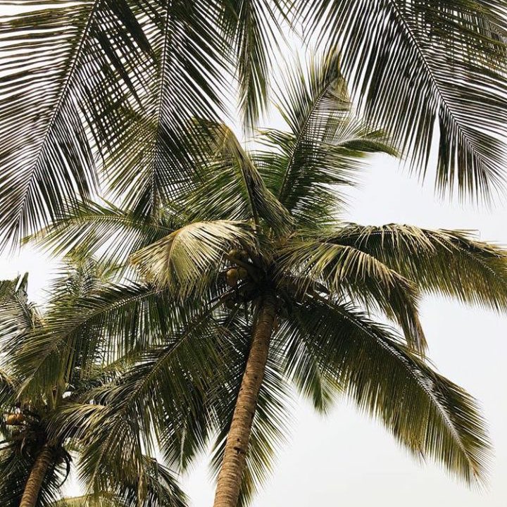 CARTIERANG3L's tweet image. summer diaries