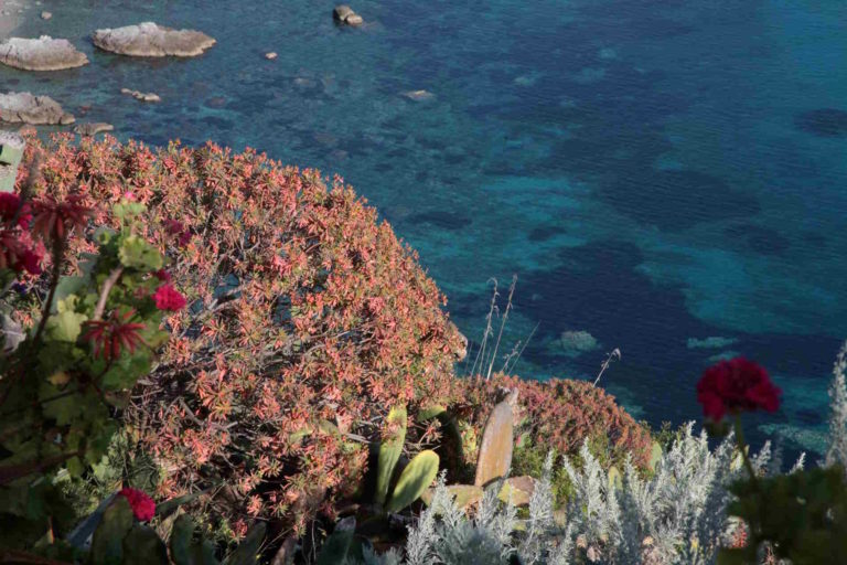 LoryBudano2's tweet image. Chi viaggia ha scelto come mestiere quello del vento.
(Fabrizio Caramagna)
#ViaggiDAutore
#SalaLettura
@672Cilia
Lampedusa