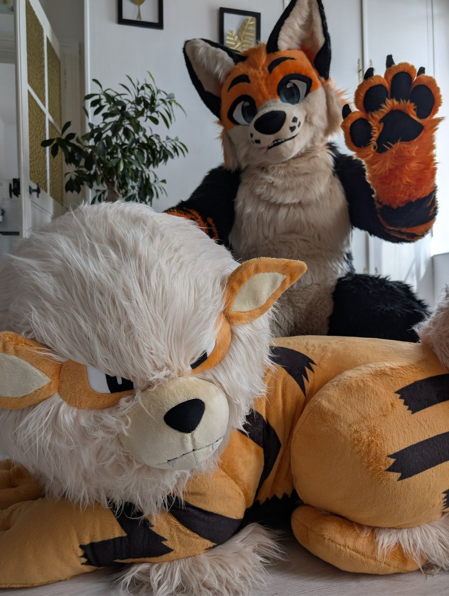 GryveAwoo's tweet image. Me &amp;amp; The Best Pokémon 🐺🔥