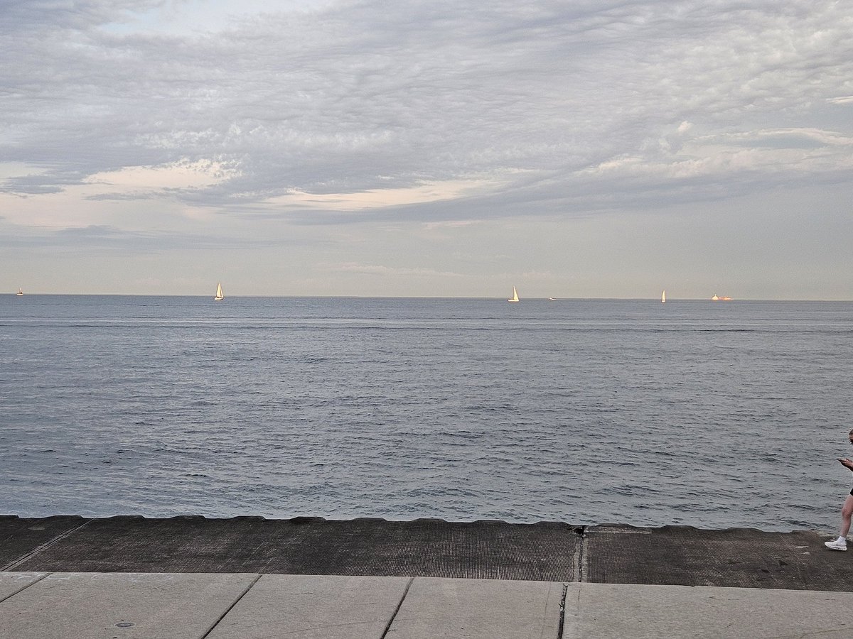 minc798's tweet image. Chicago, the useless city according to X users.
It's not nice anywhere here. Everything you read about the place is how it is in every corner of the city.