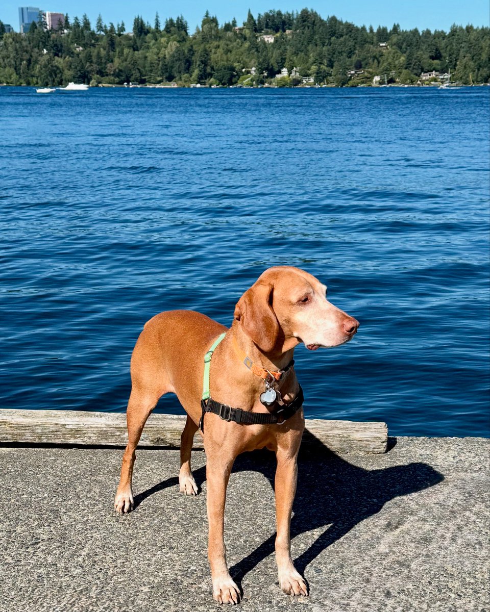 Marc E. Glasser (@marceglasser) on Twitter photo 