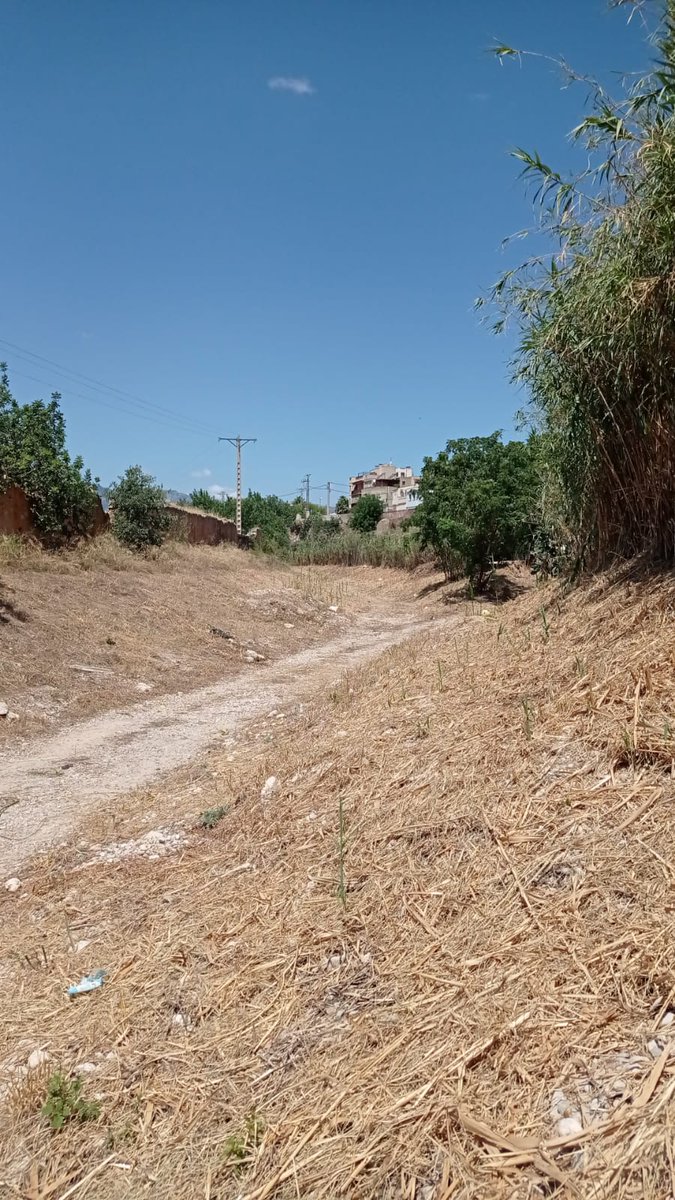 🏗️ Després d’una gran Festa Major, seguim amb energia!  

⚽ Nous vestidors del camp de futbol  
🚰 Canalització d’aigua a l’IEDM  
💡 Instal·lació de faroles solars  
🧹 Neteja del barranc  

📅 A l’EMD no tanquem per vacances!
Continuem treballant per Jesús.

#somdeJesús