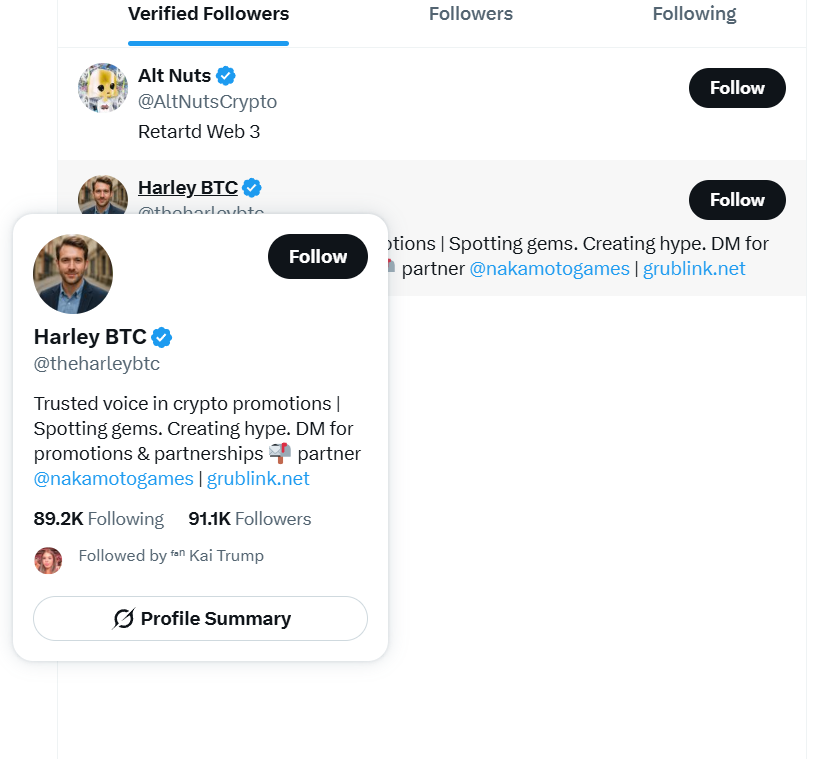 tweet item media