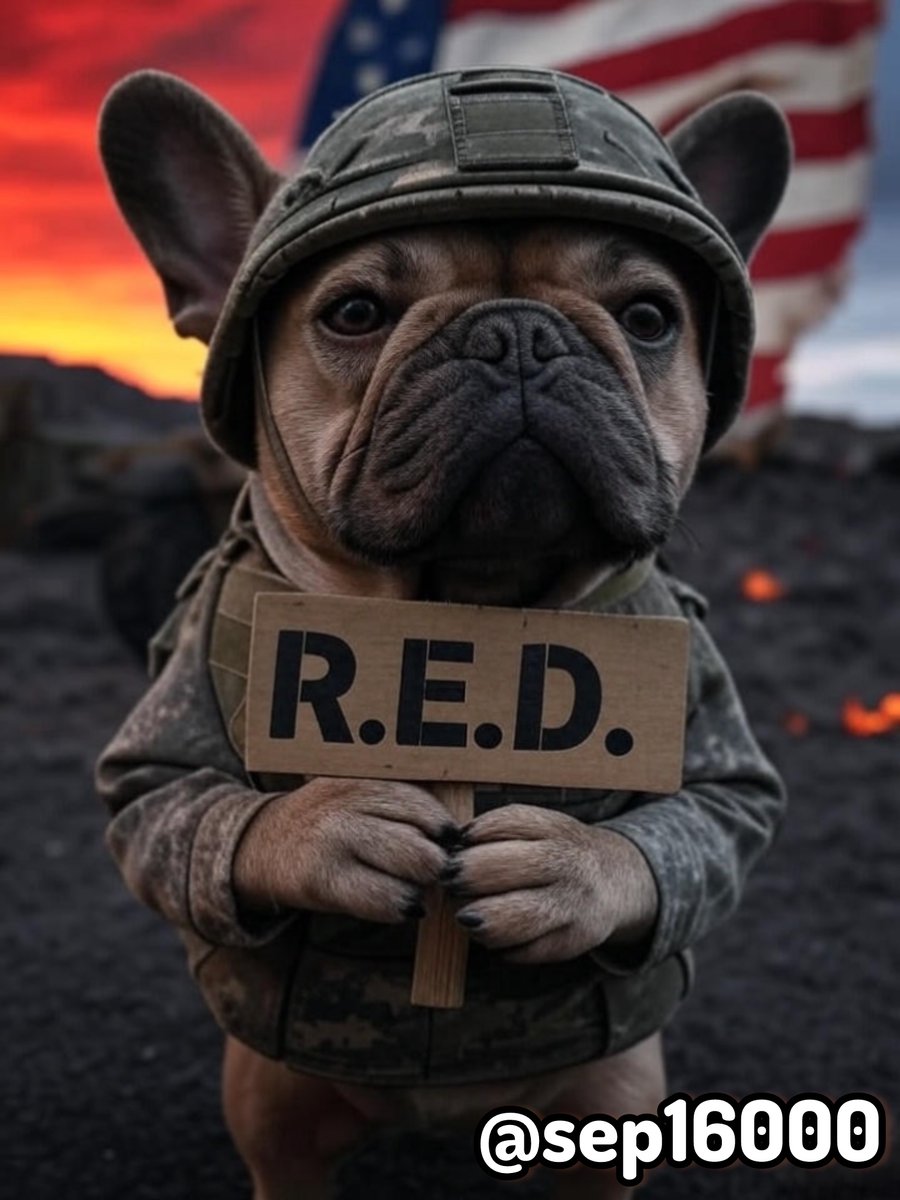 Happy Friday, friends🇺🇸🇺🇸🇺🇸Please say a prayer for all deployed. My daughter arrived in the Middle East this week🇺🇸🫡