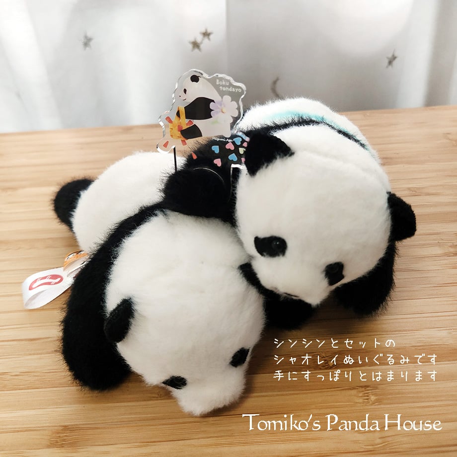 こりもーあたらちーのー！
あくりるぅーりんぐぅー！
pandahouse.stores.jp