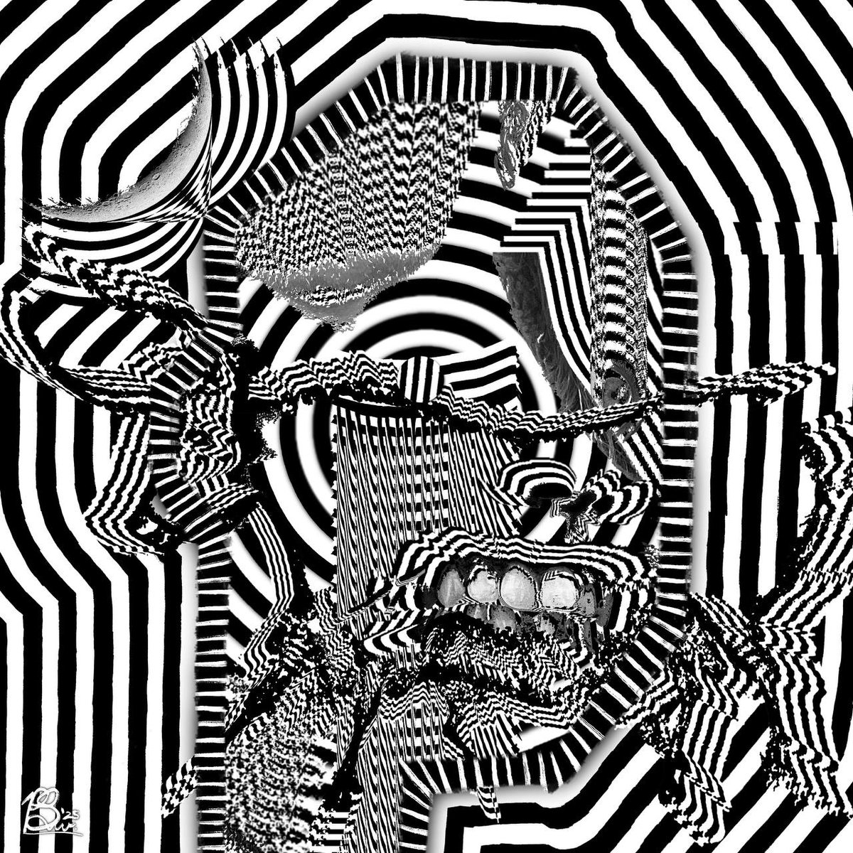 ReeceSwanepoel.btc 🟧 tweet media