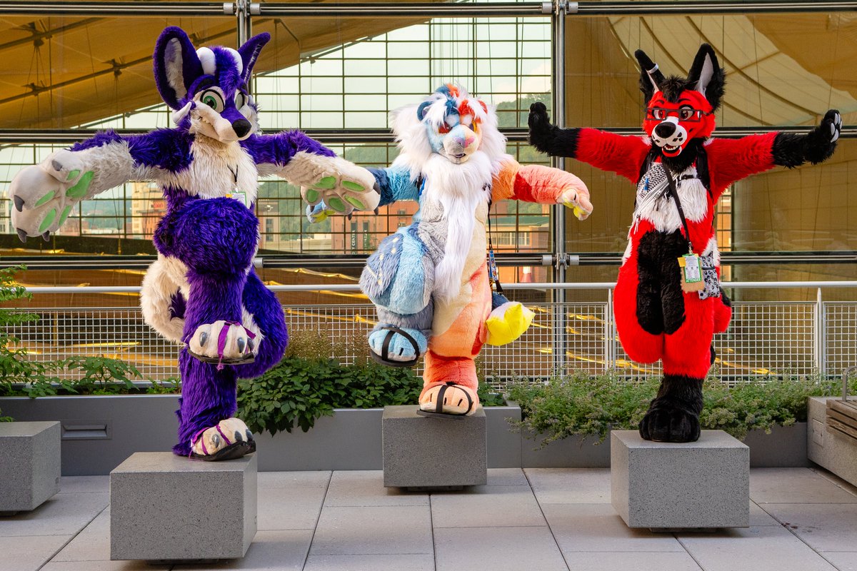 Everybody was kung fu fighting 
#FursuitFriday 
📸<a href="/AscariFennec/">Ascari Fennec @MFF</a> 
🐶<a href="/MoreFurLess/">More Fur Less</a> 
🐱<a href="/mackoolzie/">Mackoolzie.bsky.social</a>
🦊@claytronus