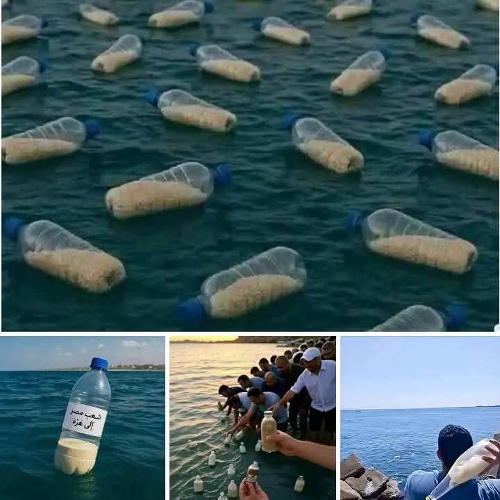 SaddamAli0's tweet image. Ise kahte hai.
Neki kar dariya me dal!!
#Palaestina #food #Egypte #Muslim #Help_Gaza #Palestine