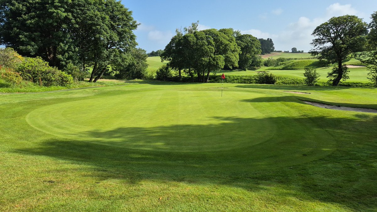 Stewart 𓅪 tweet media