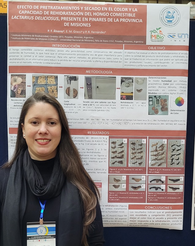 imibiomisiones's tweet image. 🍄#Hoy en la 3ra Convención Internacional de Hongos, uno de los eventos más importantes del mundo en investigación micológica, presentamos4️⃣ trabajos científicos que destacan el potencial de los #HongosMisioneros como recurso clave para el desarrollo sustentable y productivo.