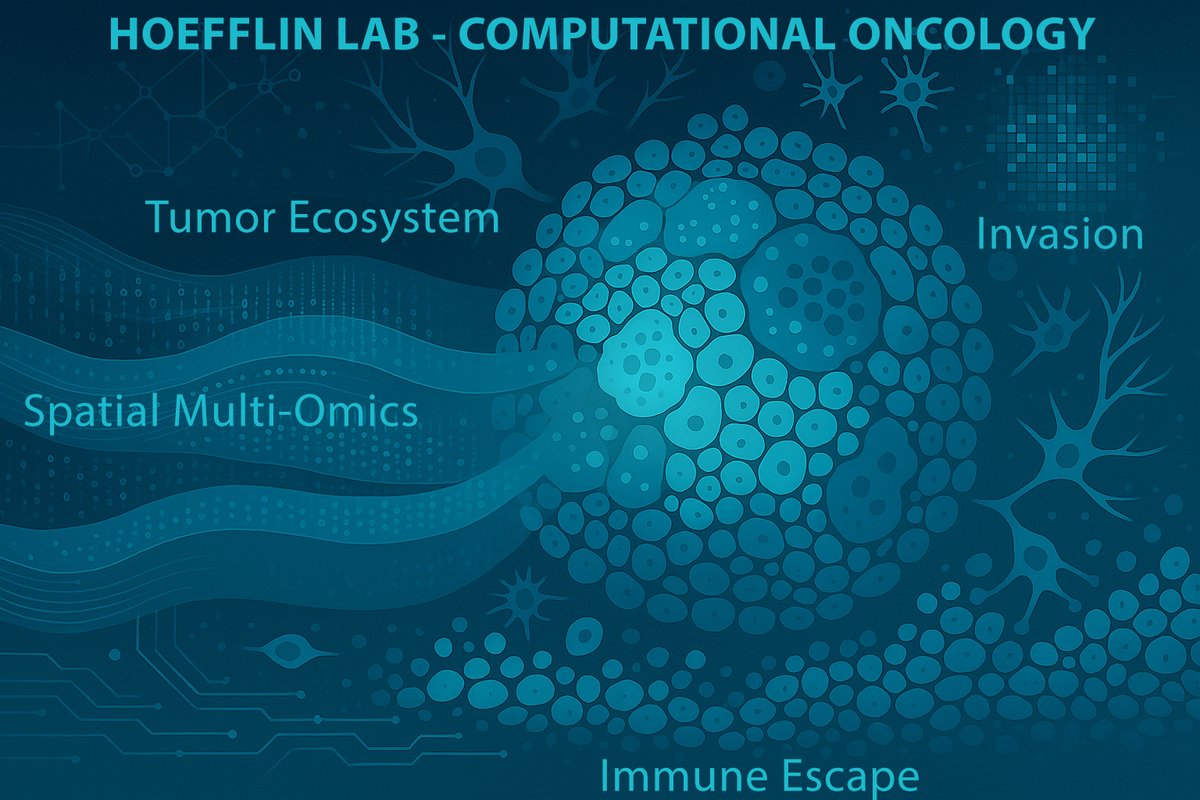 Rouven Hoefflin (@rouvenhoefflin) on Twitter photo 🧬 We are hiring a PhD student for our Computational Oncology lab at <a href="/Uniklinik_Fr/">Uniklinik Freiburg</a>. You will use cutting-edge spatial technologies to decipher the cancer ecosystem in space and time.
Please apply through: uniklinik-freiburg.de/medizin1/forsc… 🧬 We are hiring a PhD student for our Computational Oncology lab at <a href="/Uniklinik_Fr/">Uniklinik Freiburg</a>. You will use cutting-edge spatial technologies to decipher the cancer ecosystem in space and time.
Please apply through: uniklinik-freiburg.de/medizin1/forsc…