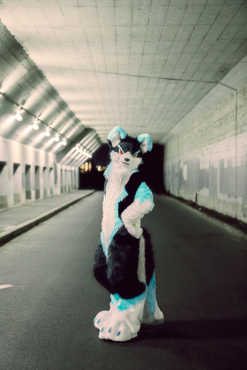 犬工房様より狼竜のPluie(プリュイ)をお迎えしました🐺
どこかでひょいひょい出てくると思うので、アレス・プちゃん共によろしくお願いします！
 #Fursuitfriday 
 #犬工房