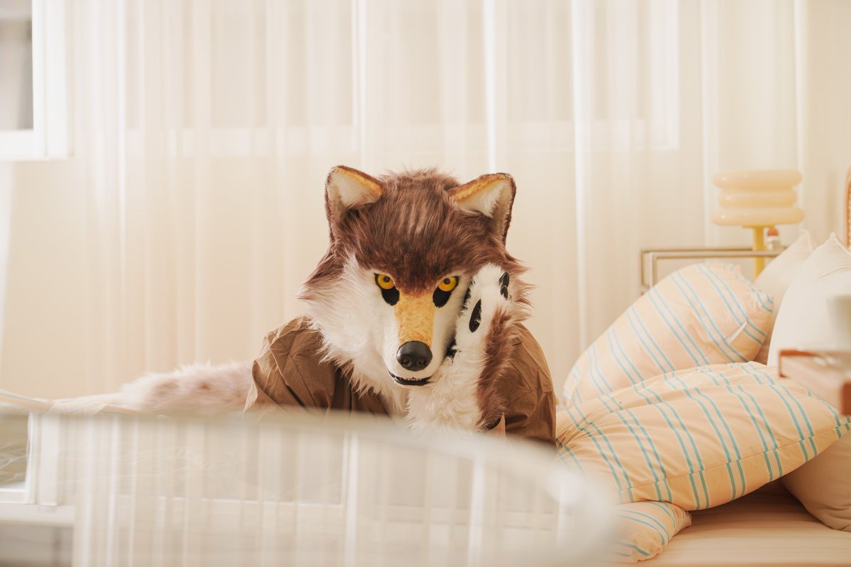 #FursuitFriday  #Fursuit
imma bed wolf 🐺

📸 <a href="/Levy_comet/">Levy/Letta</a>
