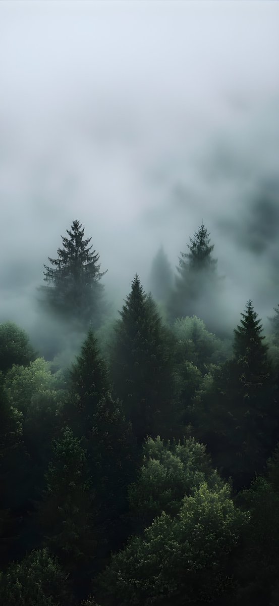 TheAppleDesign's tweet image. I’ve collected best of the best iOS 26 Wallpapers with Depth Effect in 4K for you

Touch. Hold. Load in 4K. Repeat.

A Thread 🧵