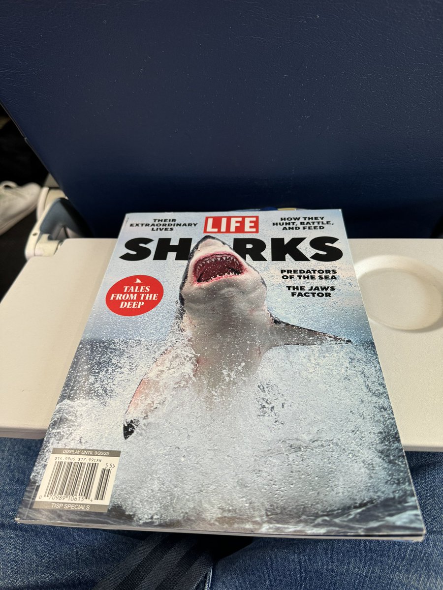 willobri's tweet image. Locking in on this flight