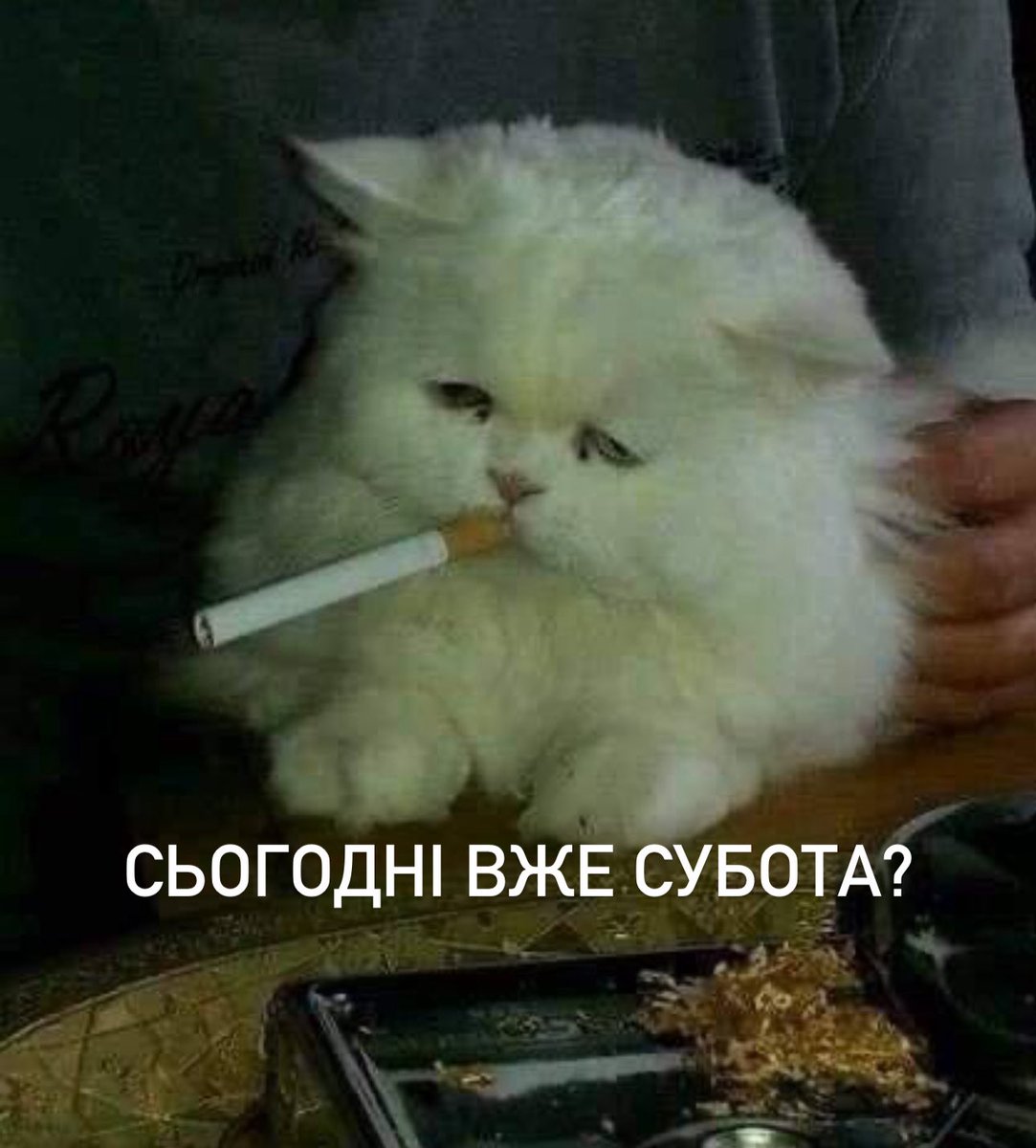 Я весь тиждень:
