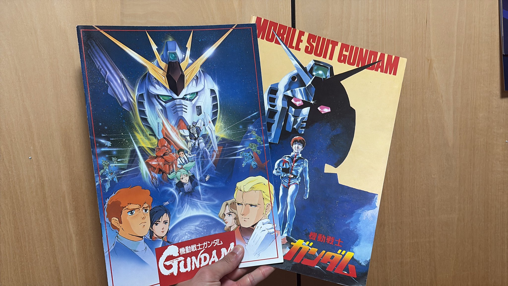 最終最後の大売り出し！！早いもん勝ちです！！　映画パンフレット特売 プライムビデオ】2025年8月の配信作品：満島ひかり×岡田将生共演