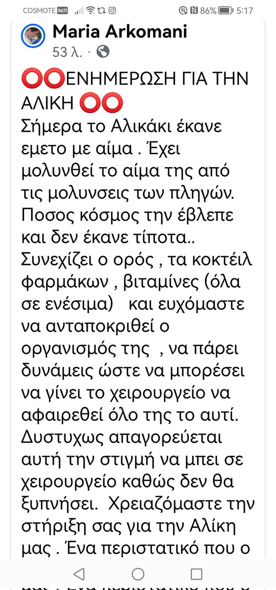 Christinalirou2's tweet image. ‼️‼️‼️‼️‼️‼️‼️Νέα ενημέρωση για την Αλίκη την σκυλίτσα που μεταφέρθηκε σε τραγική κατάσταση σε κλινική χάρις τους εθελοντές κ την οικονομική βοήθεια του κόσμου. Τώρα βοηθάμε κ την υποστηρίζουμε οικονομικά για την θεραπεία κ το χειρουργείο της. Κοινοποιούμε.🐕✌️✌️❤️❤️❤️❤️❤️❤️❤️❤️