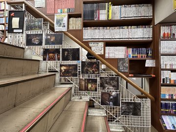 展示