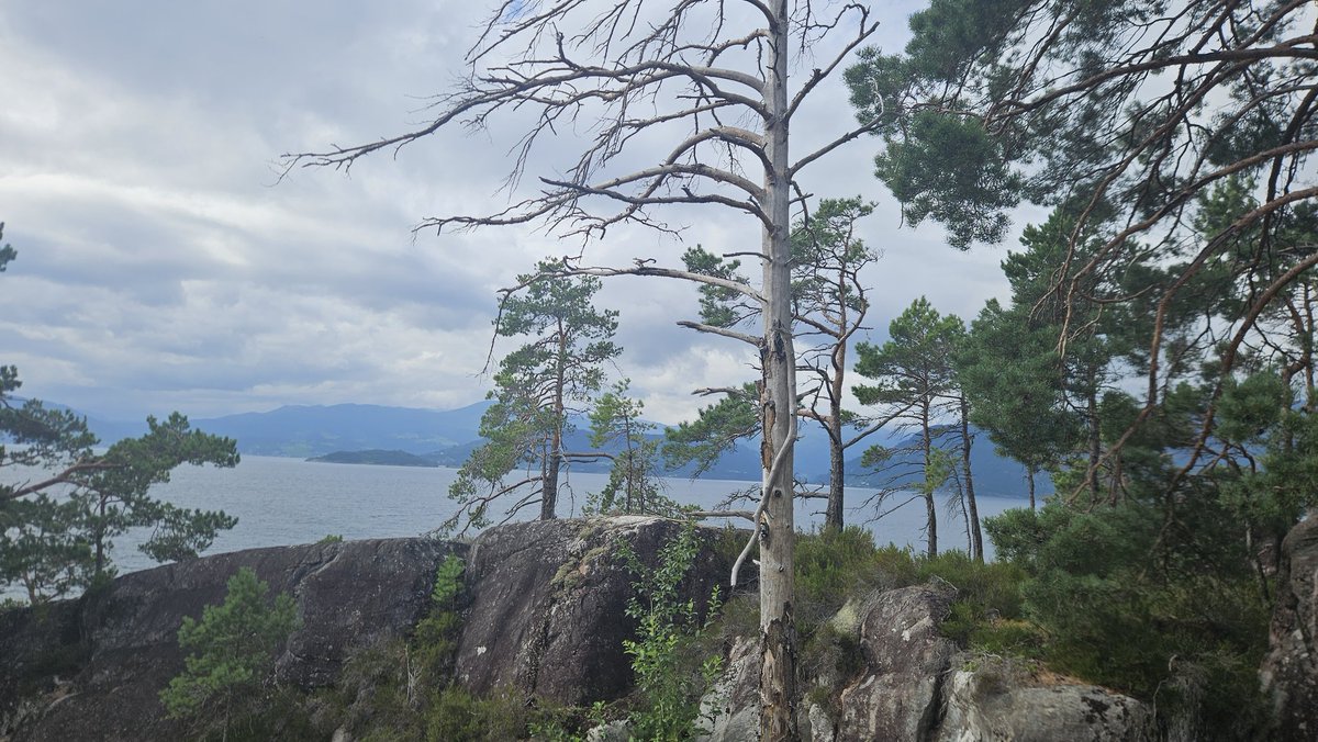 hocekm's tweet image. Maelen, Norway