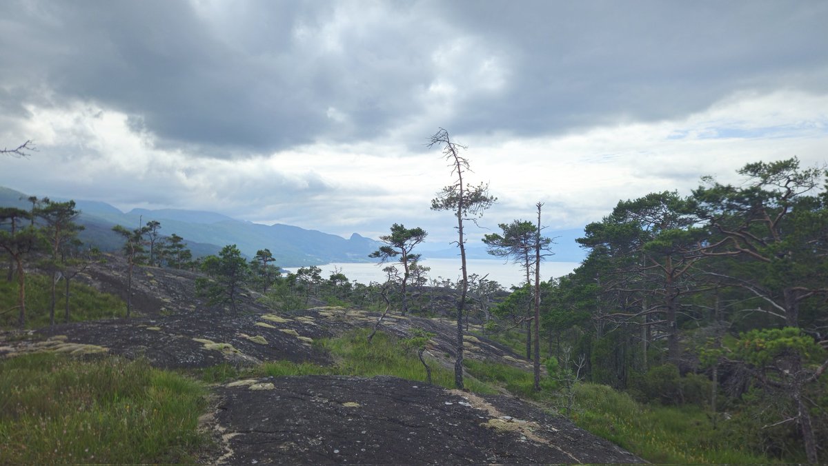 hocekm's tweet image. Maelen, Norway